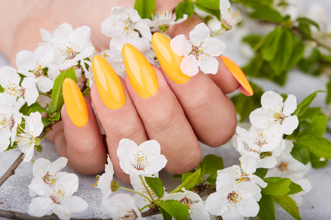Hand with long artificial manicured nails colored with yellow nail polish